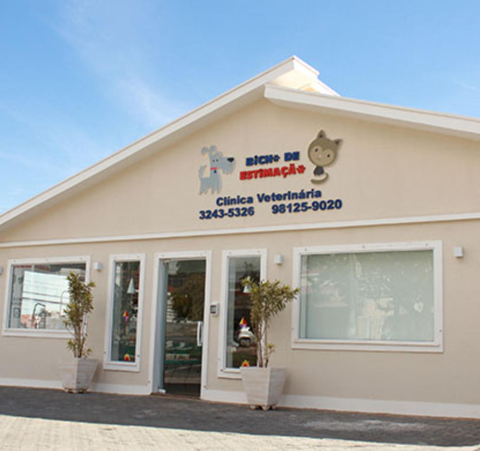 Veterinária cuidando de um cachorro